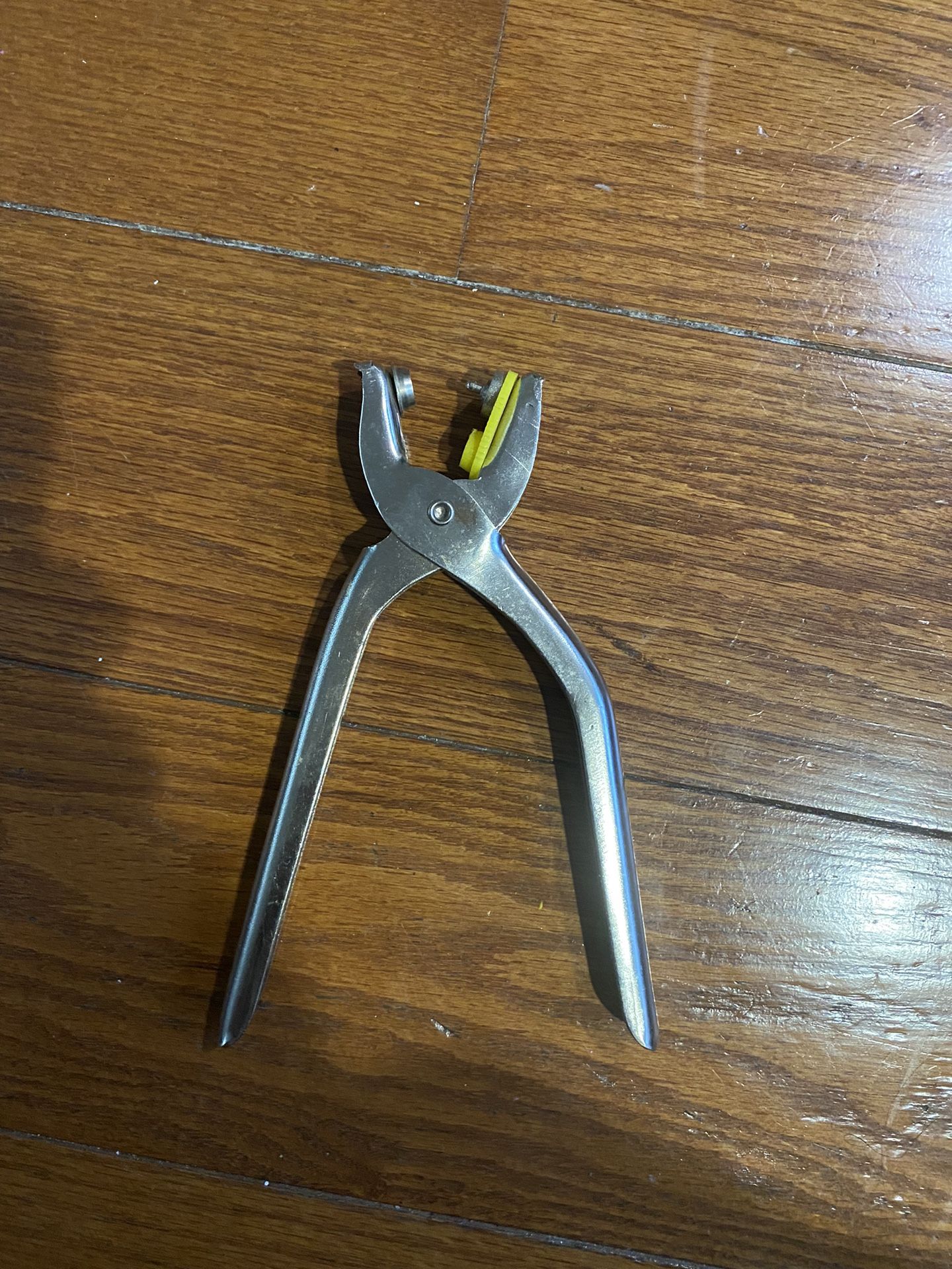 Vintage Sewing Fastners Snaps