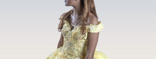Sweet 16/ Quinceañera Ball Gown Dress