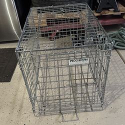 Dog Kennel 