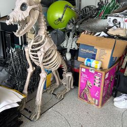 Halloween Decor