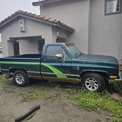 C10 CHEYENNE  CHEVY SILVERADO CHEVY SCOTTDALE CHEVY BONANZA  GMC SIERRA SHORTBED R10