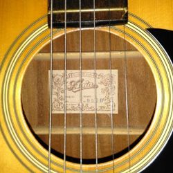 Aria acoustic guitar