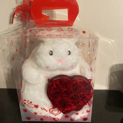 ♥️♥️♥️HERMOSO CONEJITO BACKPACK EN CAJA PARA ESA PERSONA ESPECIAL!!