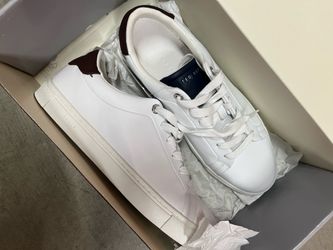 Ted baker Sneaker NEW