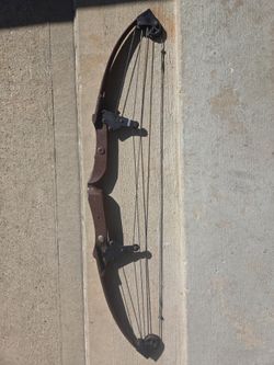 Bear Compound Bow - $65
