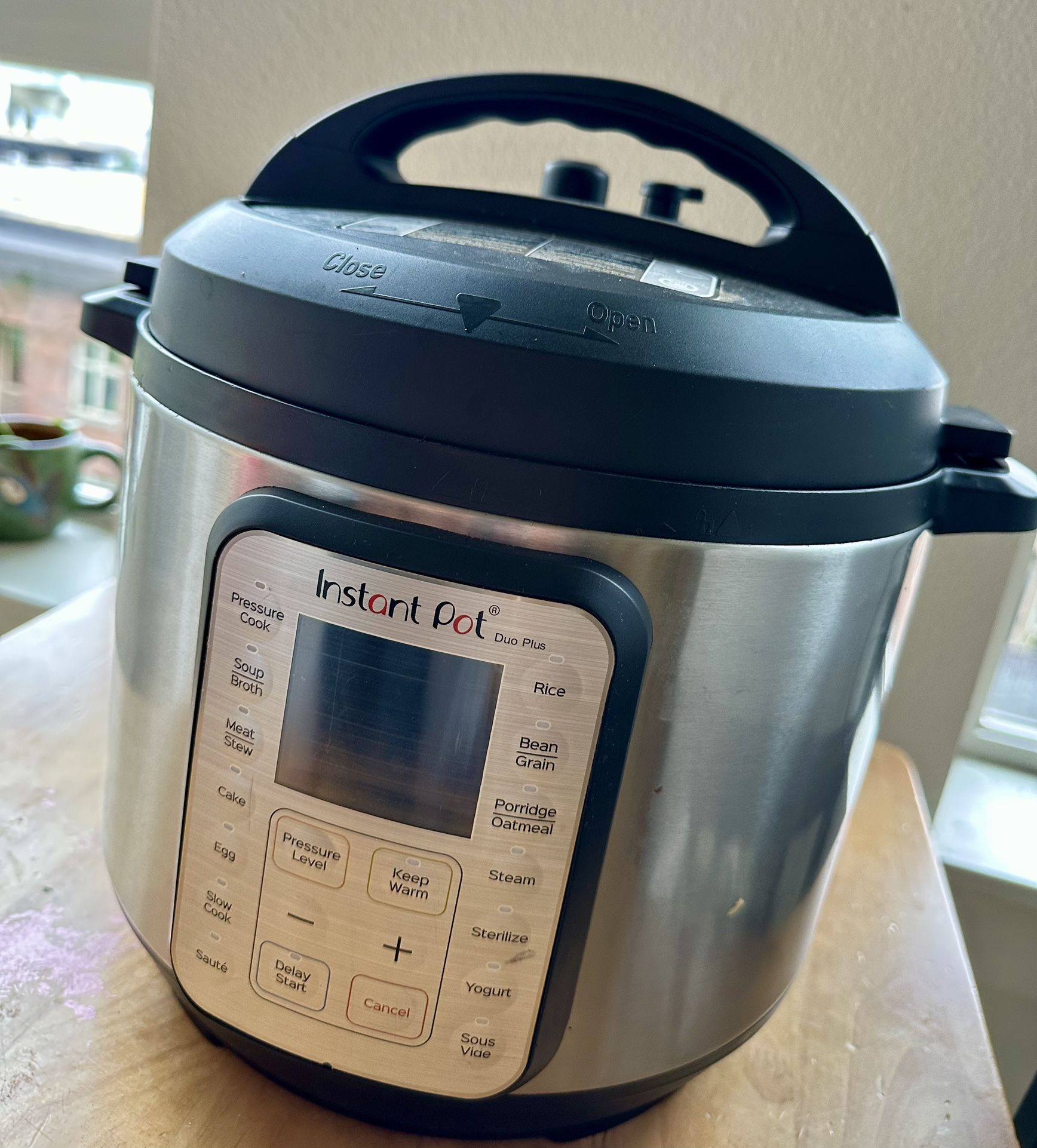 Instant Pot Duo Plus