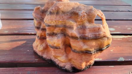 Terrarium Lizard Cave Hide