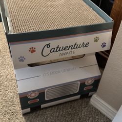 Cat Tv 