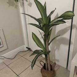 Fake Plant 