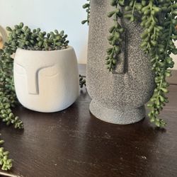 Decorative plants, Plant Pots 
