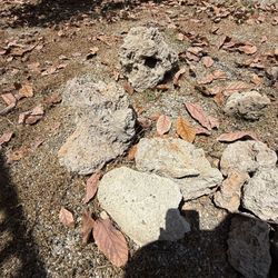 Landscape Rocks FREE