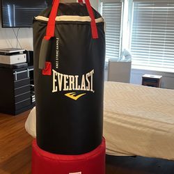 MMA Indoor Boxing Punching Bag And Gloves 