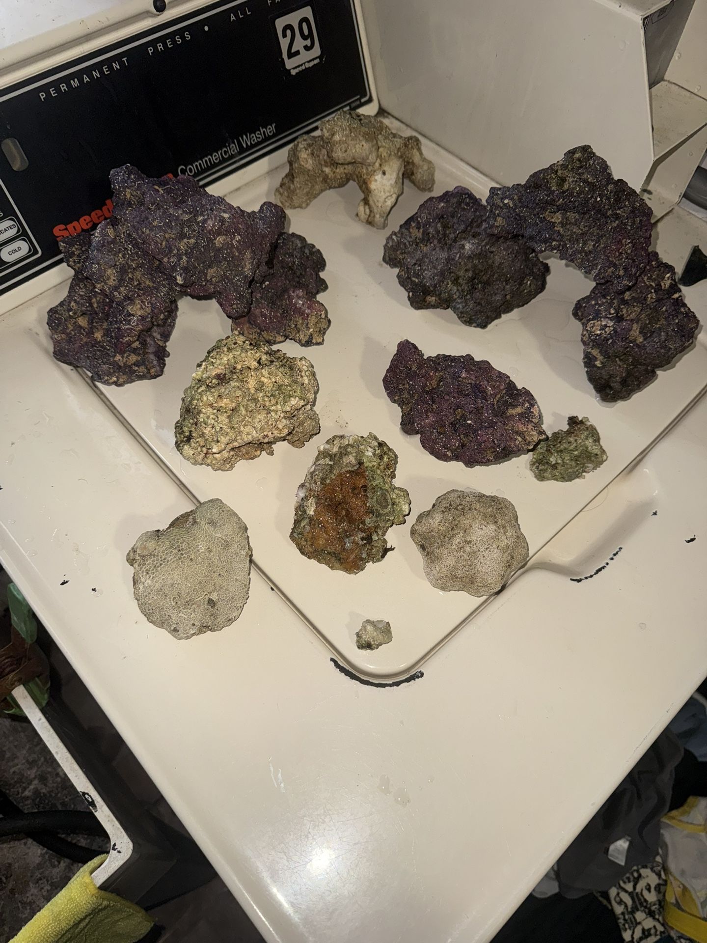 Reef Aquarium Dry Rock