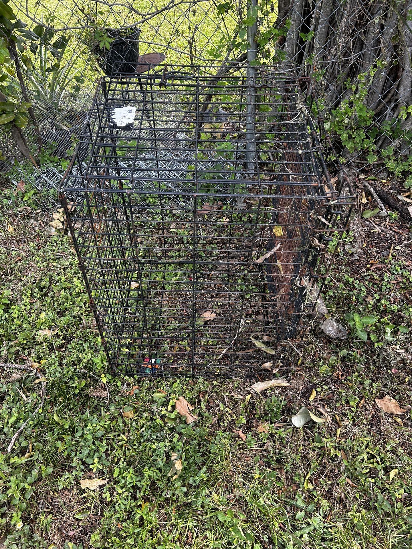 2 Dog Crates 