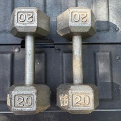 20 Pound Hex Dumbbells Pair
