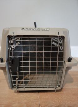 😺Medium-sized  Pet Carrier