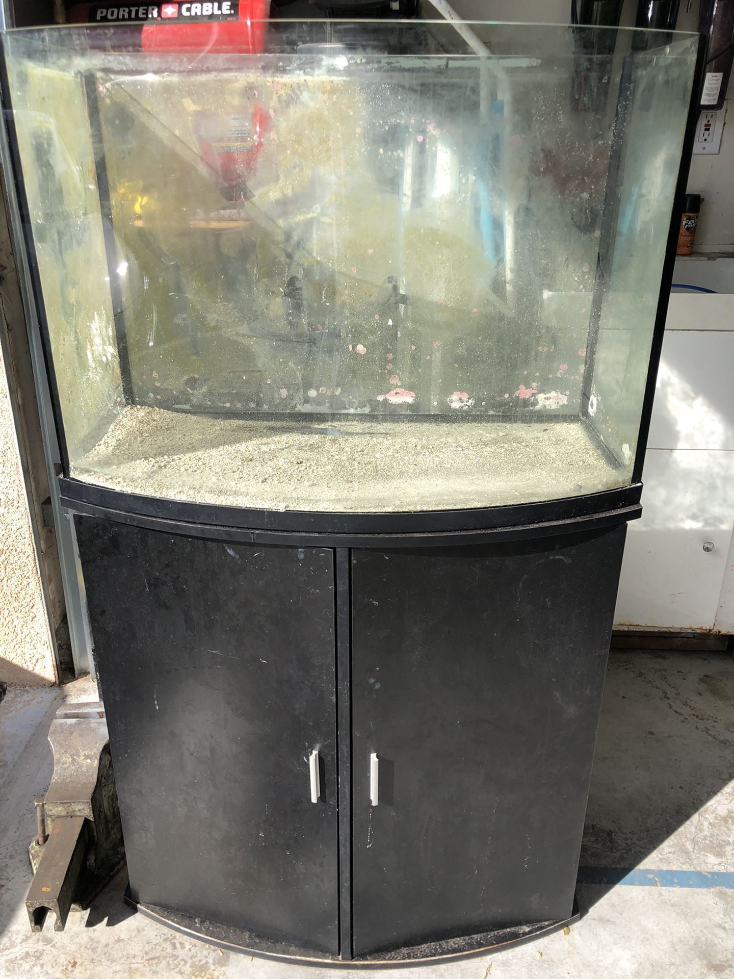 36 Gallon Bow Front Glass Aquarium With Stand