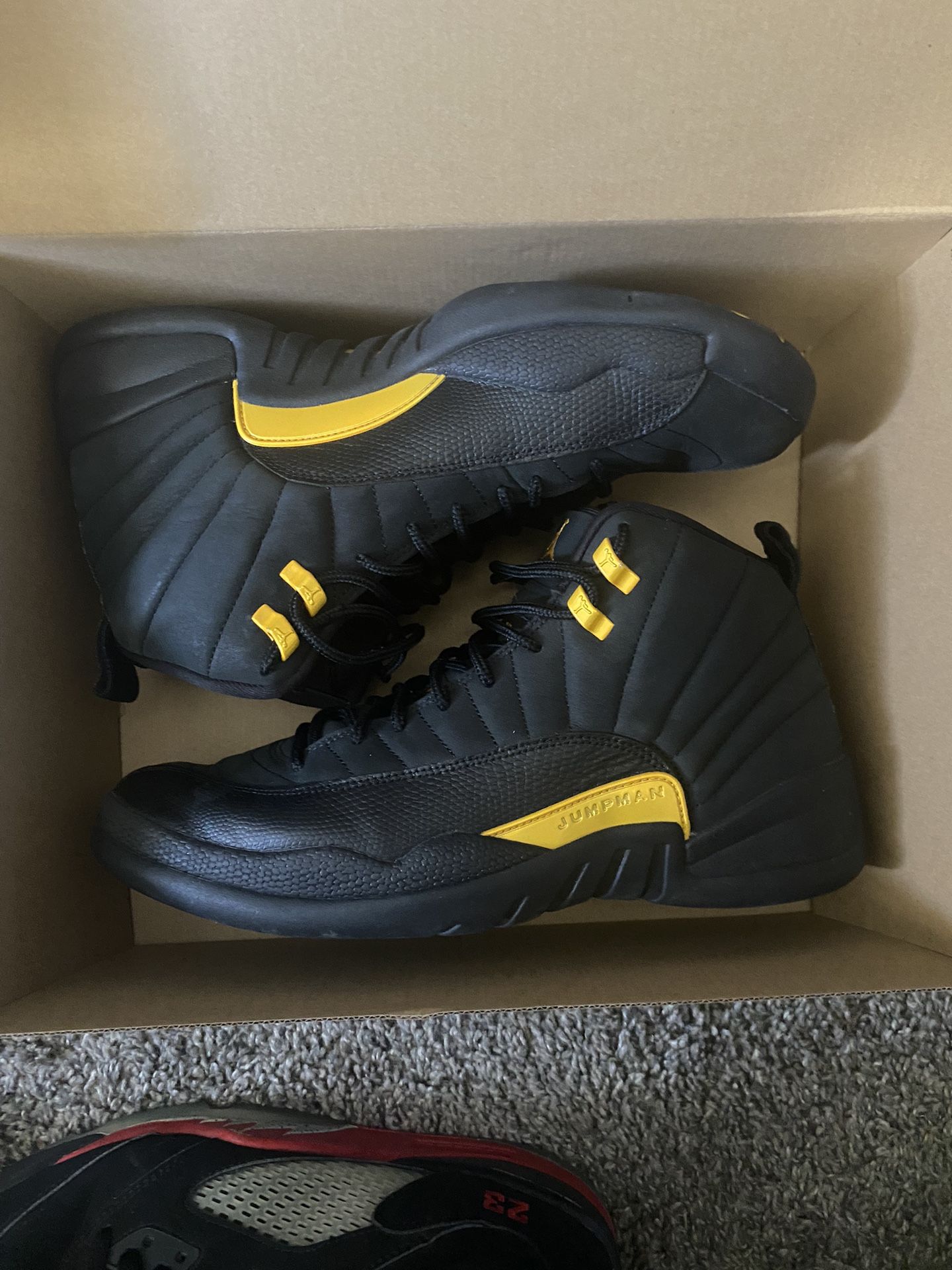 Jordan 12