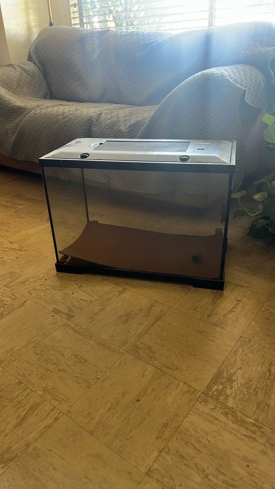 Terrarium