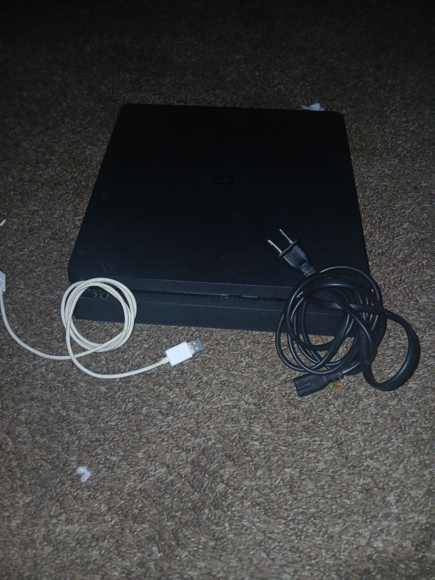 Image #1