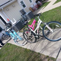 All Three Bikes For The Price Of One