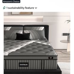 14in Queen Mattress 