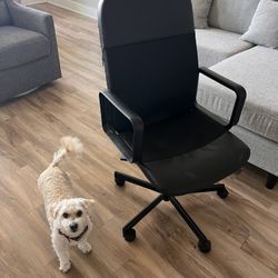 Standard IKEA Office Chair
