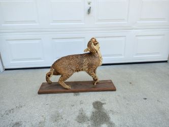 Vintage Full Body Bobcat Taxidermy Mount