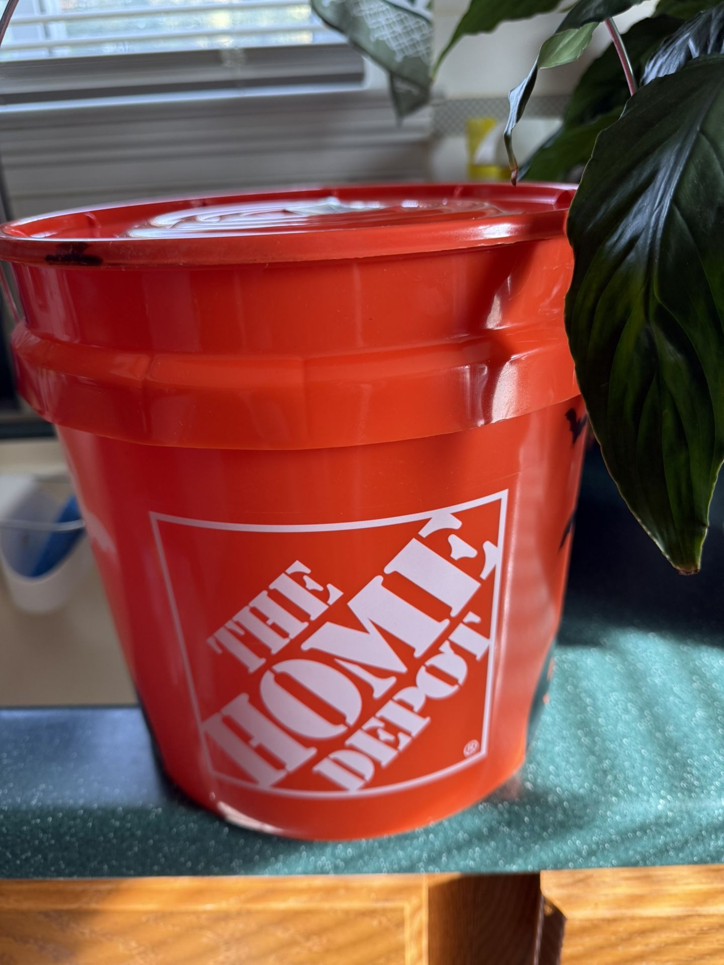Home Depot Halloween Bucket & Lid 5 Available