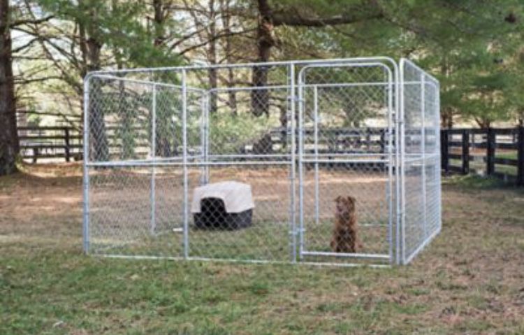 Large Dog Kennel  10ft By 10ft