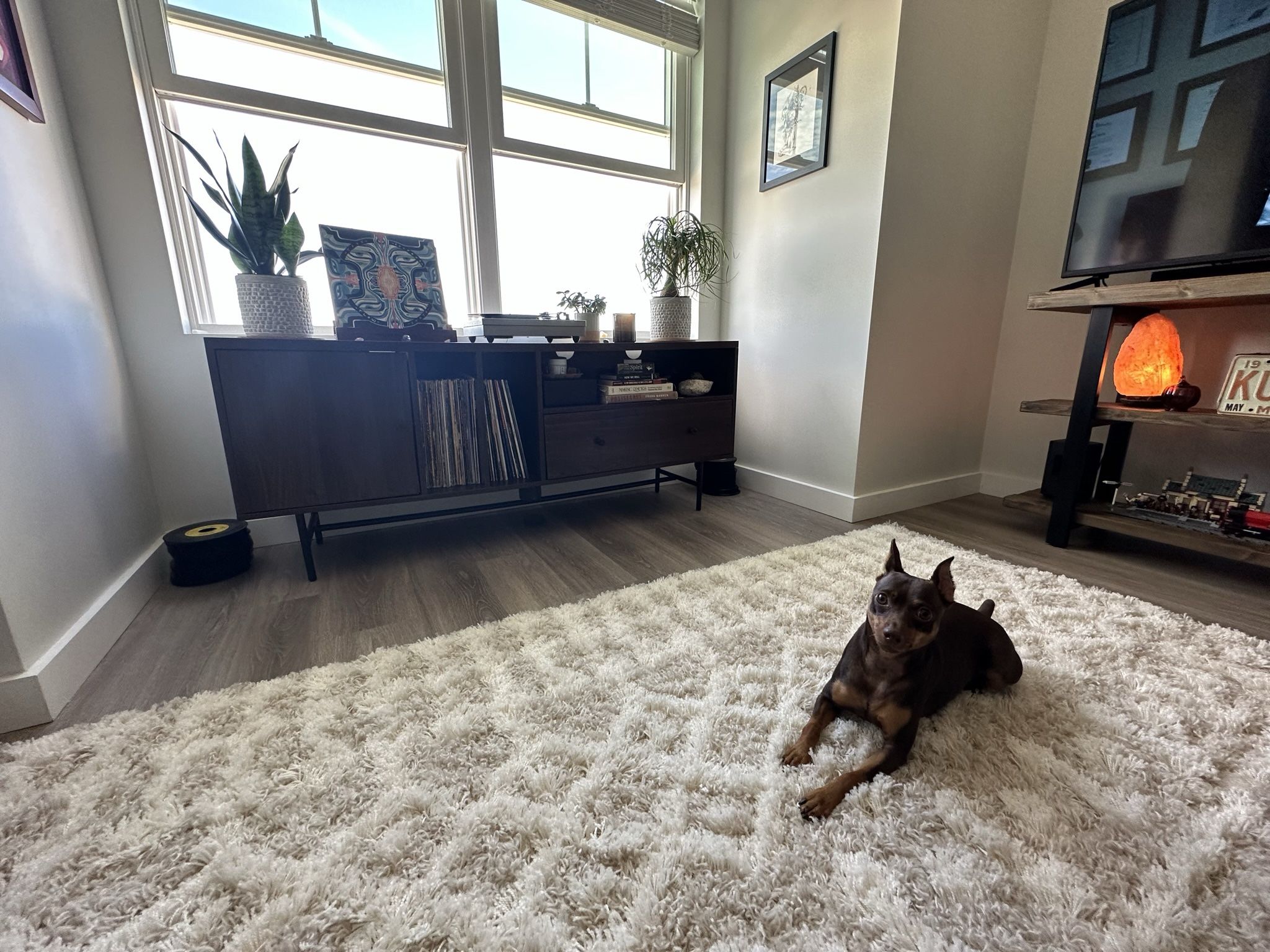 Rug