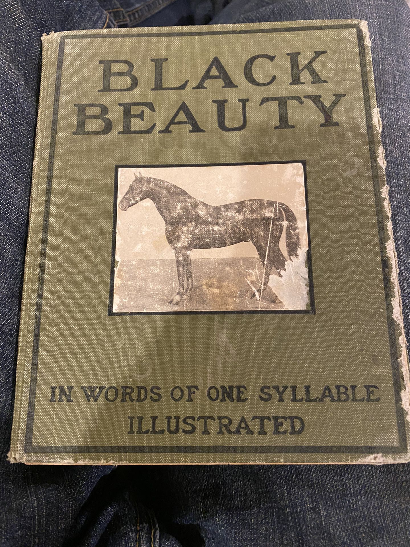 Black beauty Book From 1905 