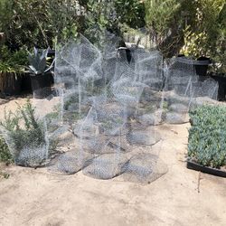Metal Wire Baskets 