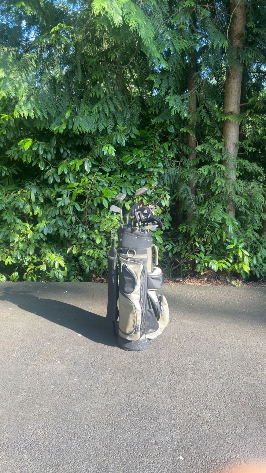 Red Bird Golf Set