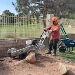 🍀Stump Grinding 🍀