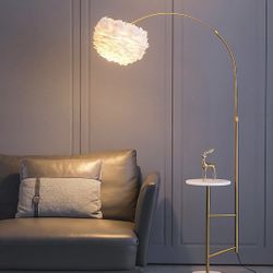 Floor Lamp New Never Used As It Is in The Photo 