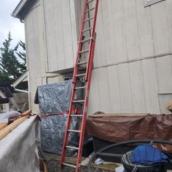Louisville 20 Foot Extension Ladder FE3220