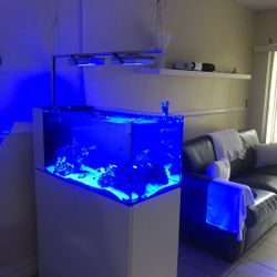Aquarium Fish Tank Peninsula 