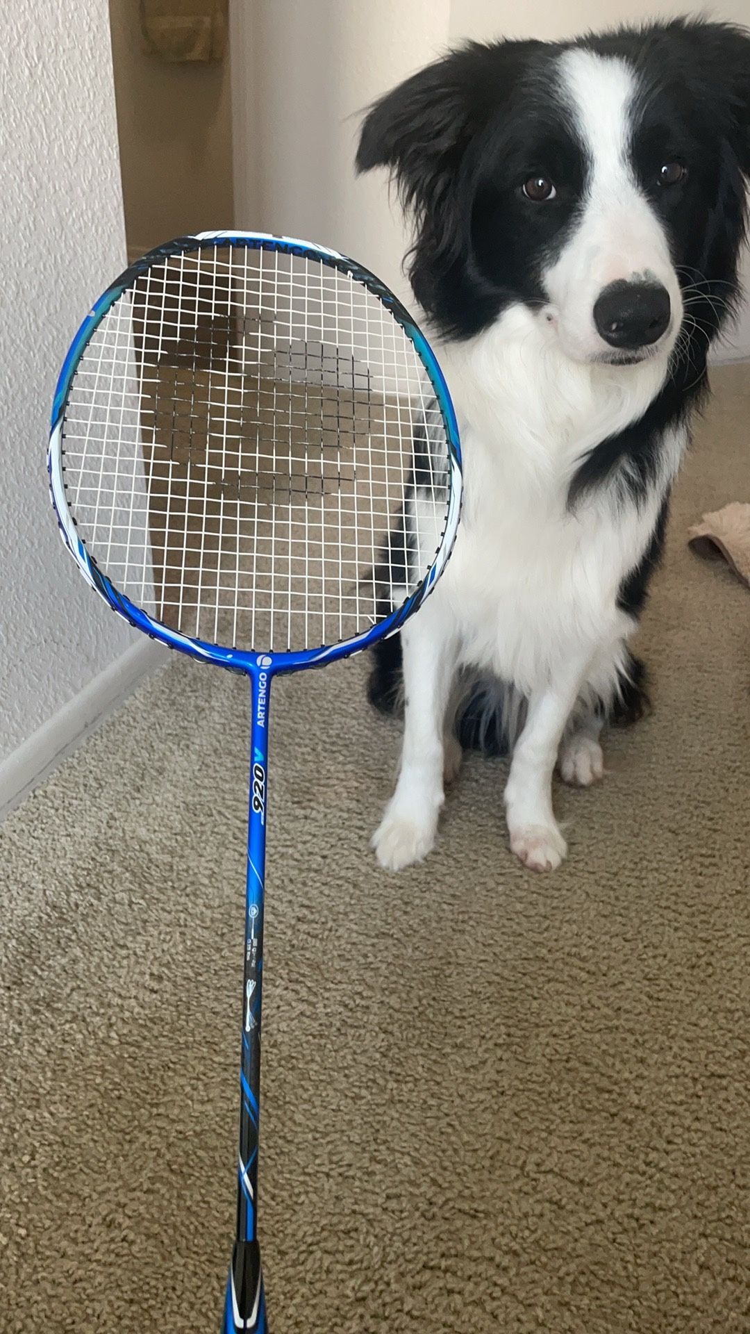 Carbon Decathlon badminton Racket