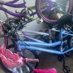 Free Cycles