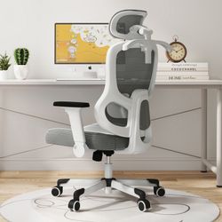 Light Grey Ergonomic Office Chair