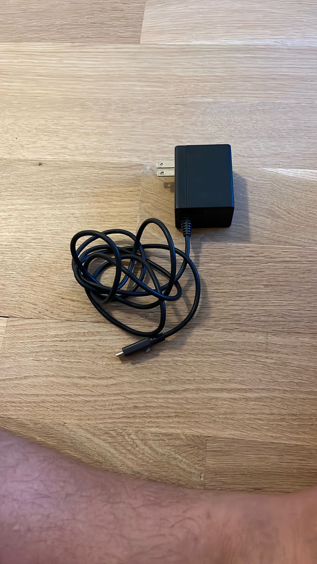 Nintendo Switch Charger