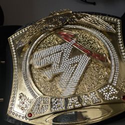 Wwe Spinner Belt