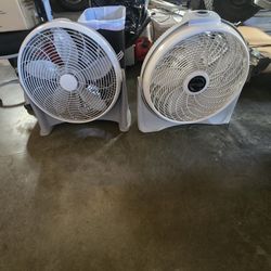 20 Inch Box Fans