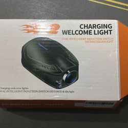 Honda Welcoming Door Lights