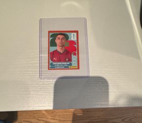 Red boarder fifa Ronaldo World Cup sticker