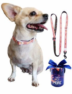 More Pink Collar and Leash Set with Gift Box for Girl Dog and Puppy Under 18lb, Neck 9"-13"