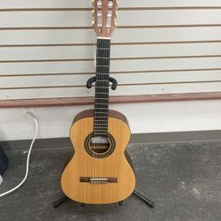Protege Acoustic Guitar 