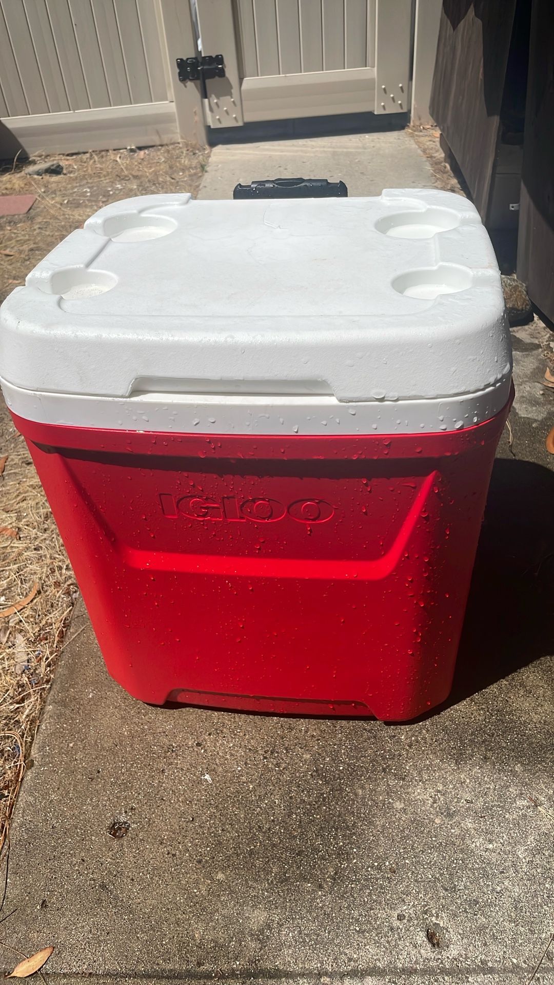 Igloo Red Cooler
