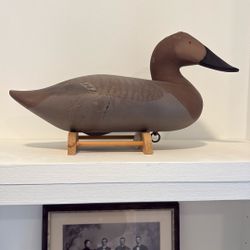 Duck Decoy